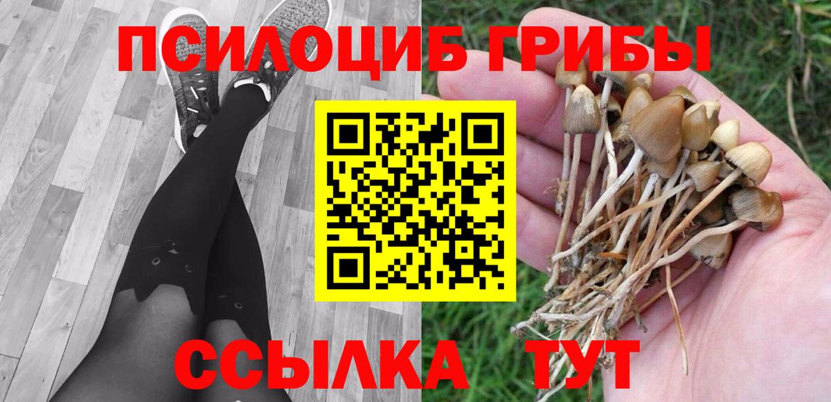Псилоцибиновые грибы мухоморы  Вход с VPN  Электрогорск 